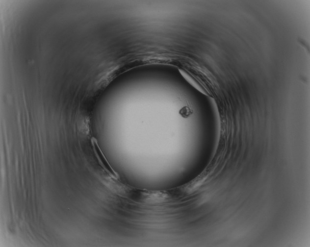 X0000091370621200708241335