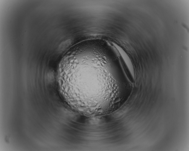 X0000091370623200708241335