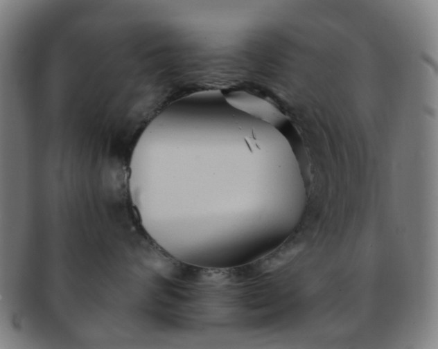 X0000091370624200708241335