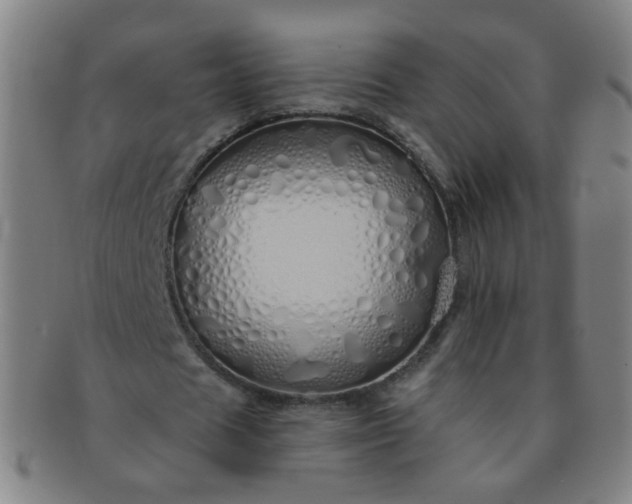 X0000091370625200708241334