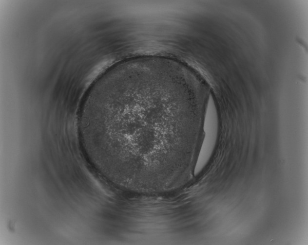 X0000091370626200708241334