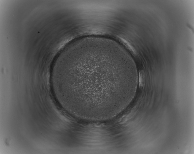 X0000091370627200708241334