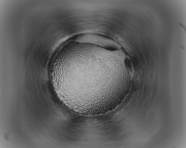 X0000091370628200708241334