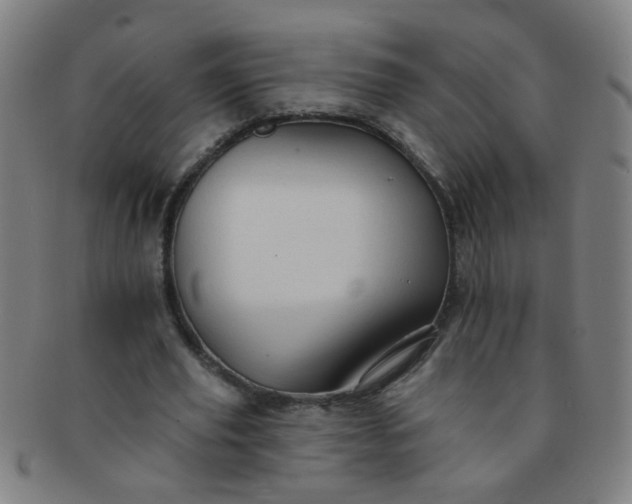 X0000091370629200708241334