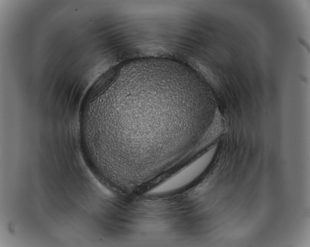 X0000091370630200708241334