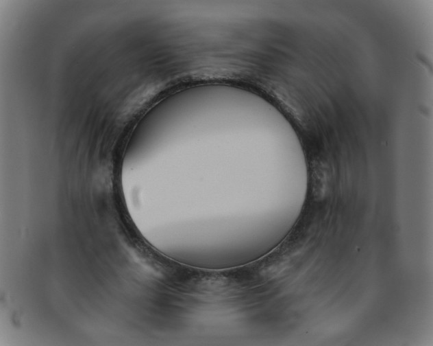 X0000091370631200708241334