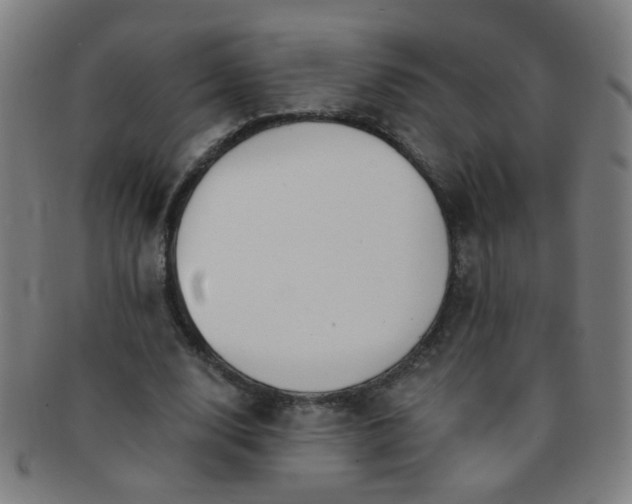 X0000091370632200708241334