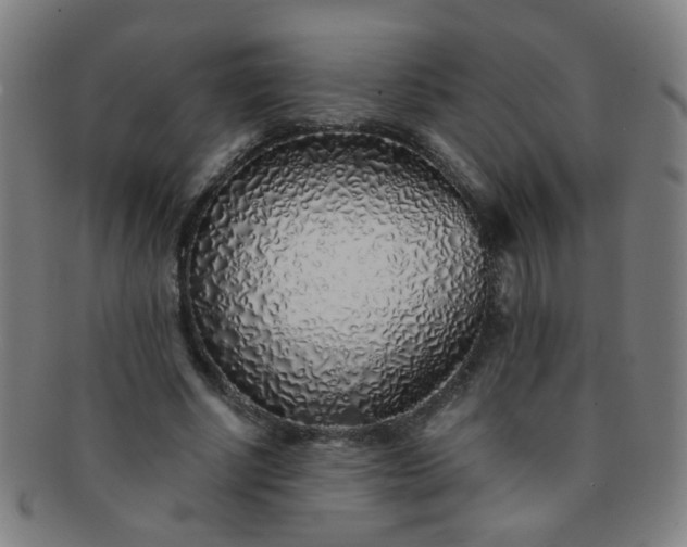 X0000091370634200708241334