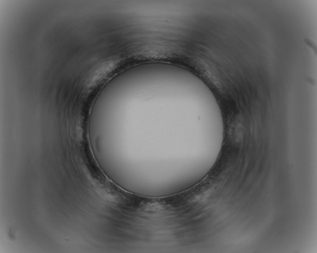 X0000091370635200708241334