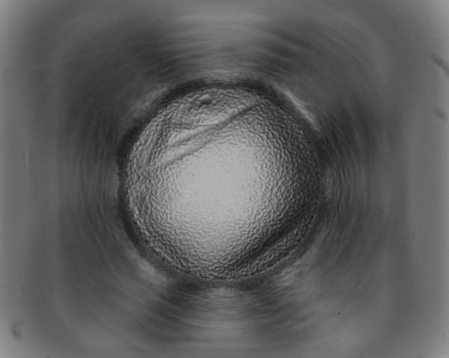 X0000091370637200708241334