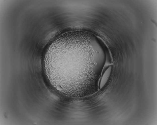 X0000091370638200708241334