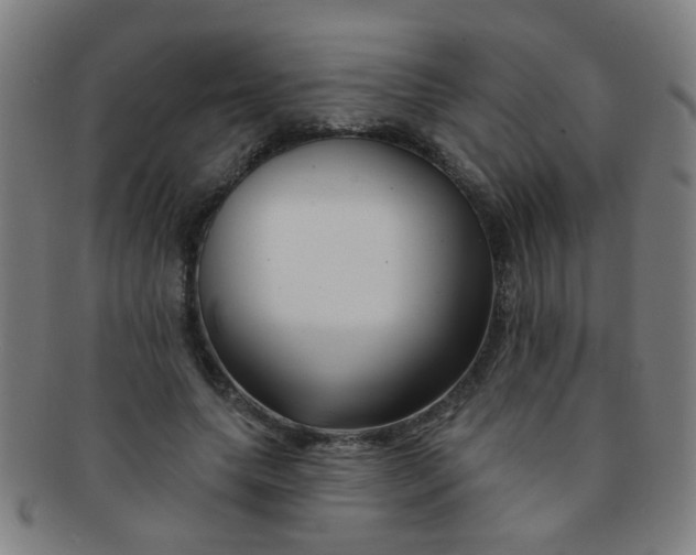 X0000091370639200708241334