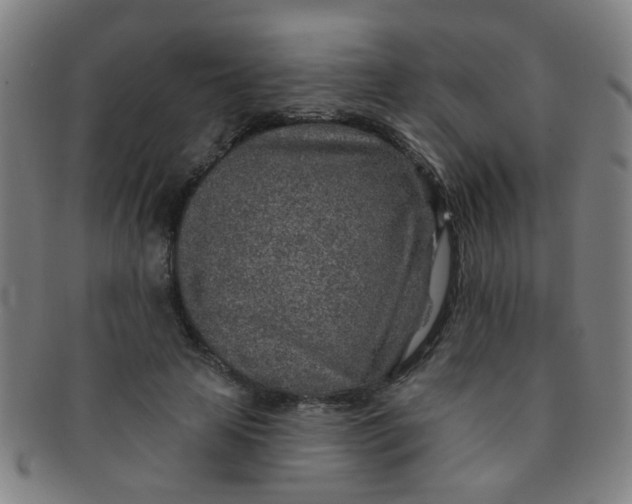 X0000091370641200708241334