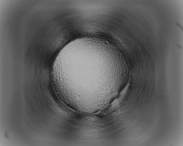 X0000091370642200708241334