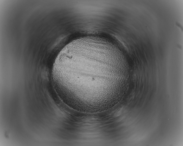 X0000091370643200708241334