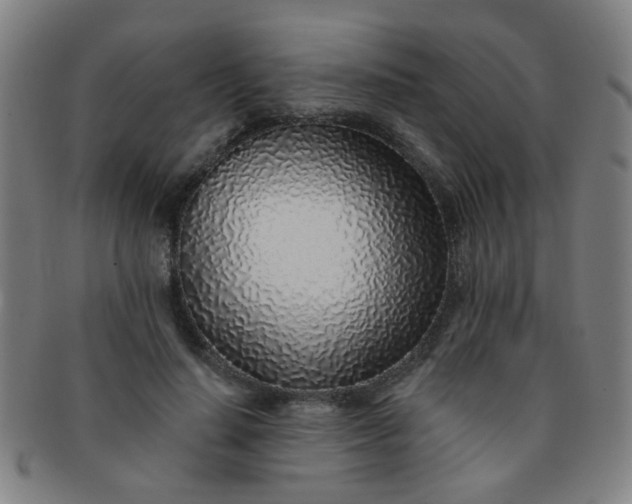 X0000091370644200708241334