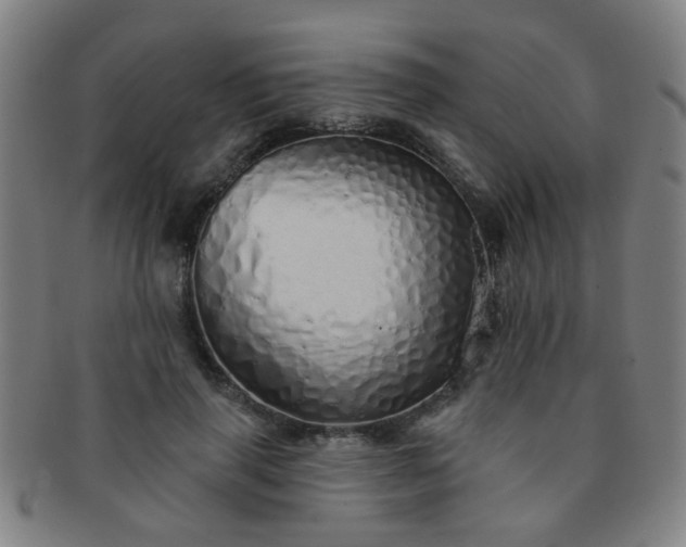 X0000091370645200708241334