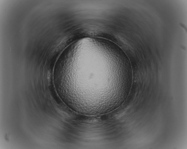 X0000091370646200708241334