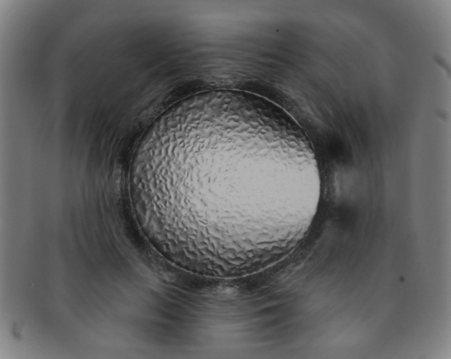 X0000091370647200708241334