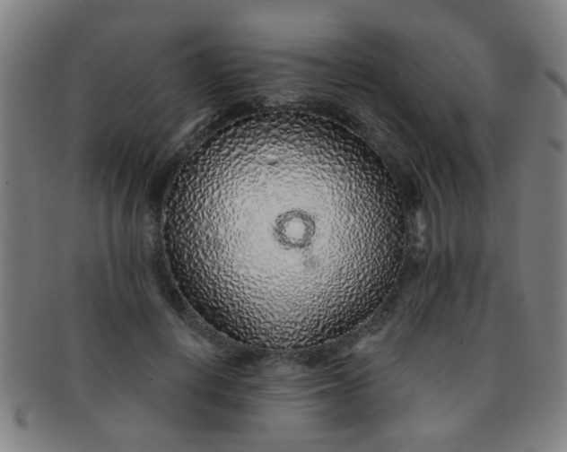 X0000091370648200708241334