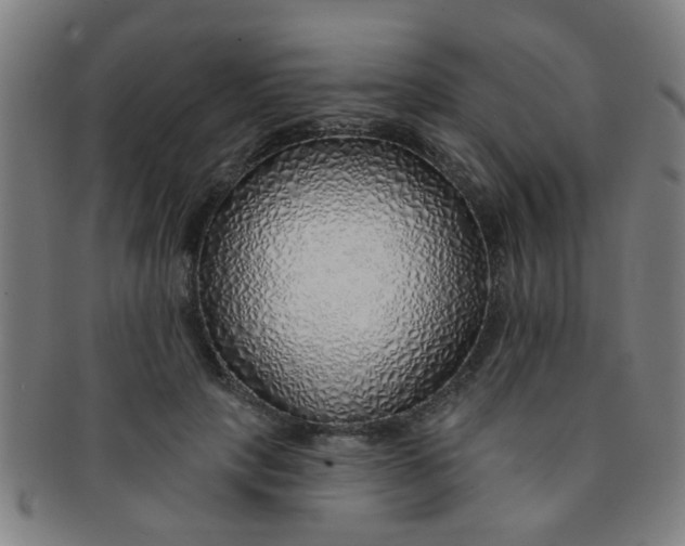 X0000091370649200708241334