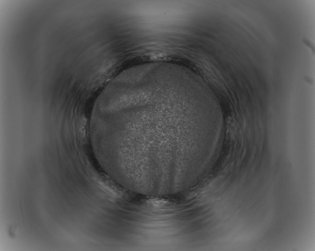 X0000091370650200708241334