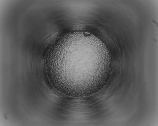 X0000091370652200708241334