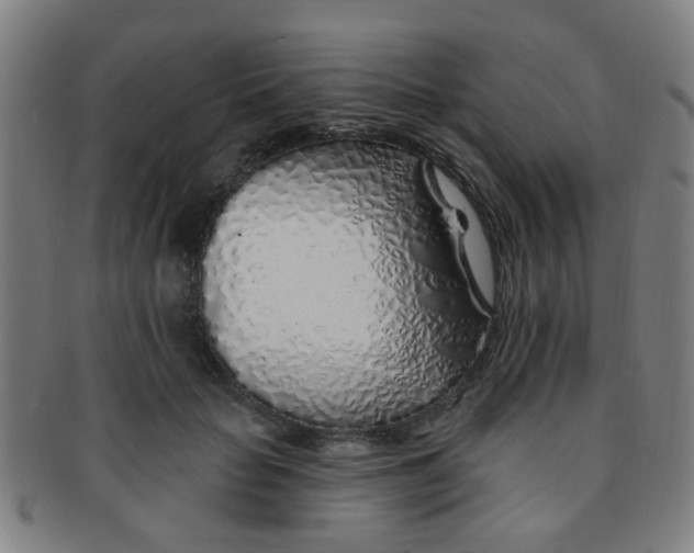 X0000091370653200708241335