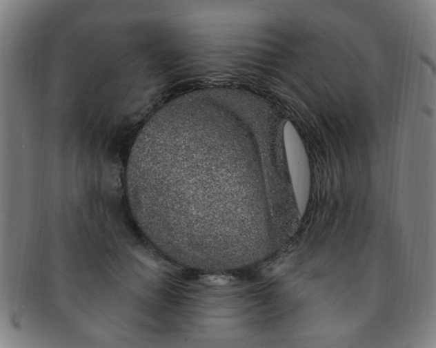 X0000091370654200708241335