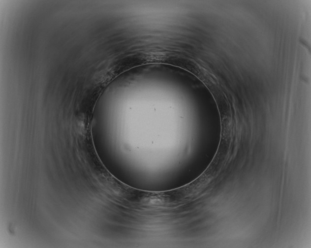 X0000091370655200708241335