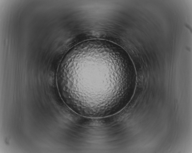 X0000091370656200708241335