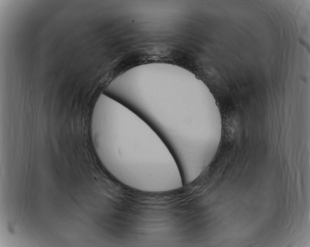 X0000091370657200708241335