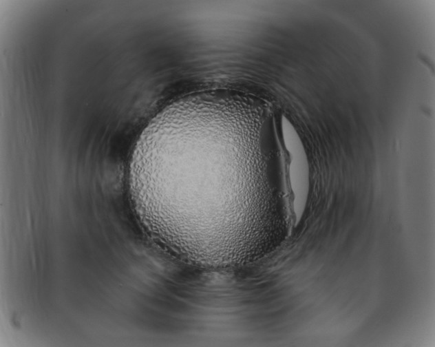 X0000091370660200708241335