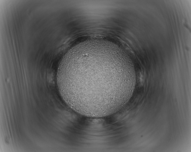 X0000091370663200708241335