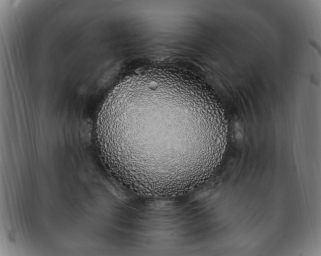 X0000091370664200708241335