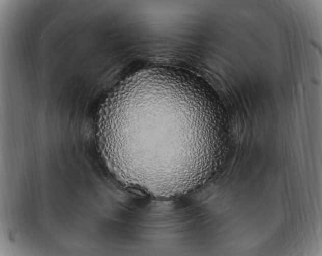 X0000091370665200708241335