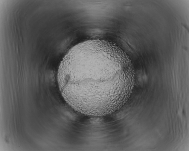 X0000091370667200708241335