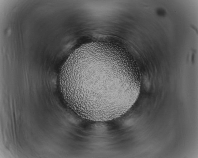 X0000091370668200708241335