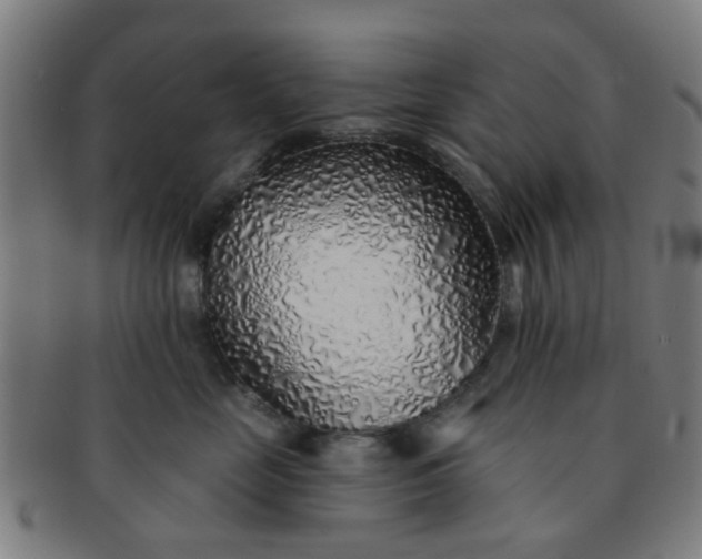 X0000091370669200708241335