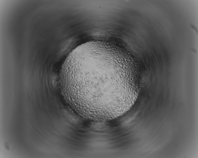 X0000091370671200708241335