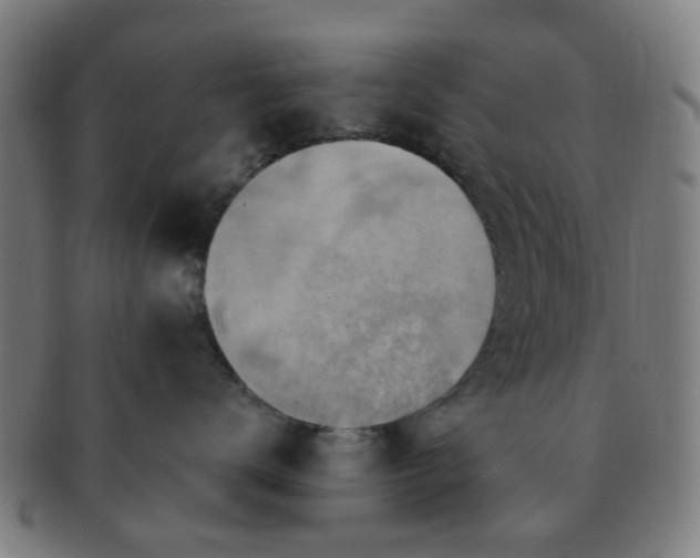 X0000091370672200708241335