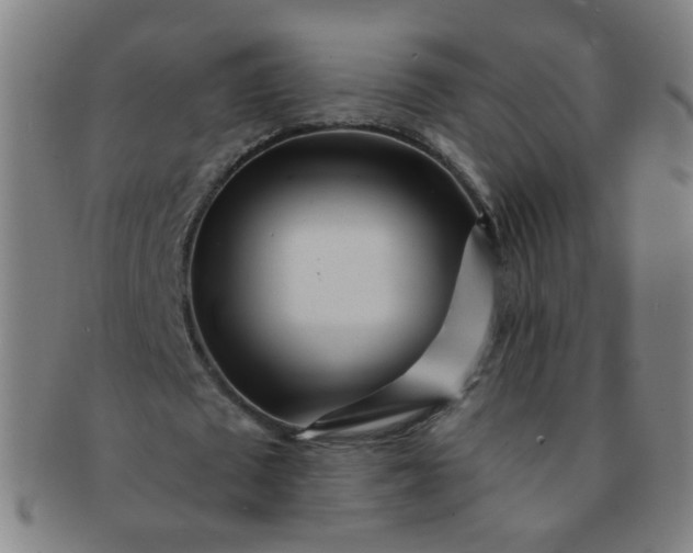 X0000091370673200708241334