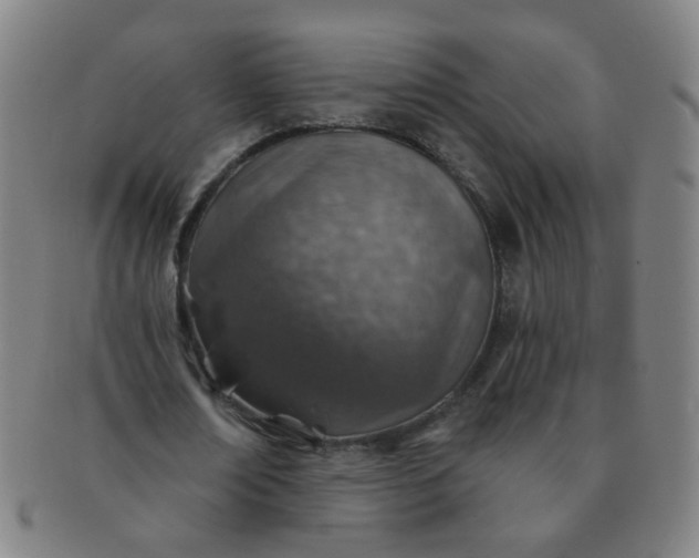 X0000091370674200708241334