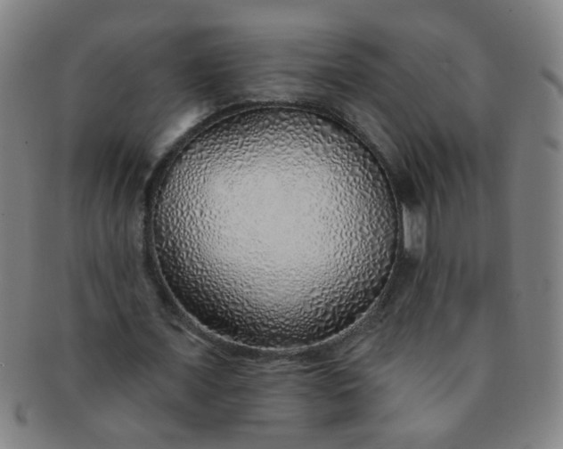 X0000091370675200708241334