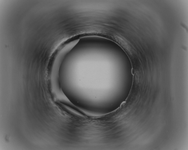 X0000091370676200708241334