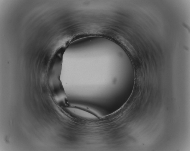 X0000091370677200708241334