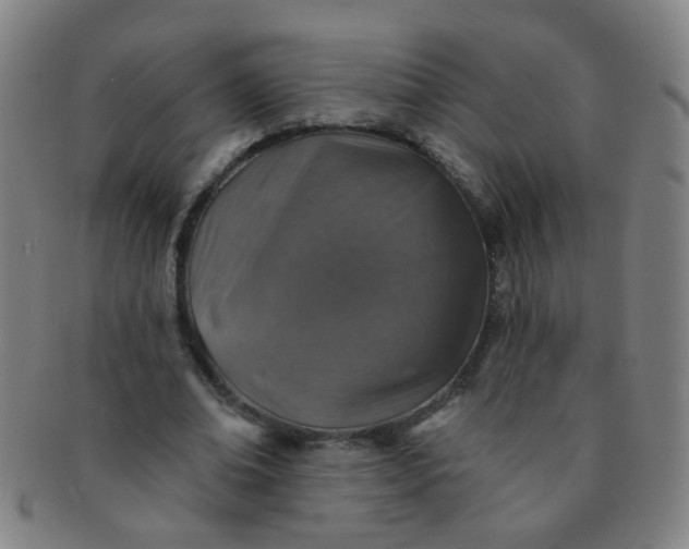 X0000091370678200708241334