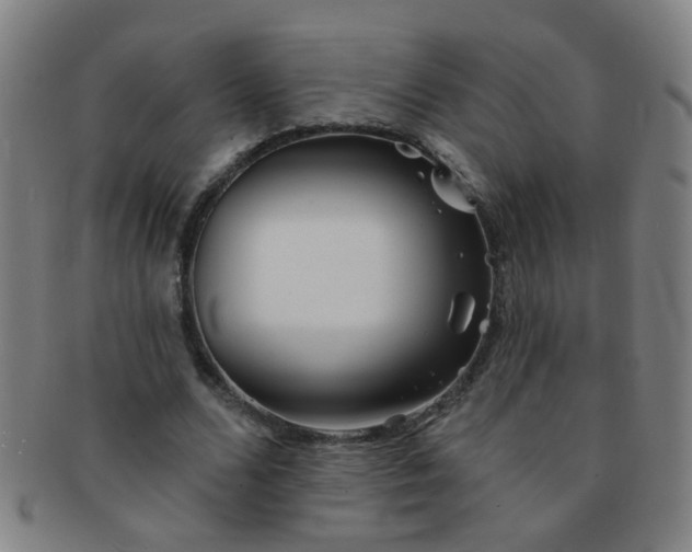 X0000091370680200708241334