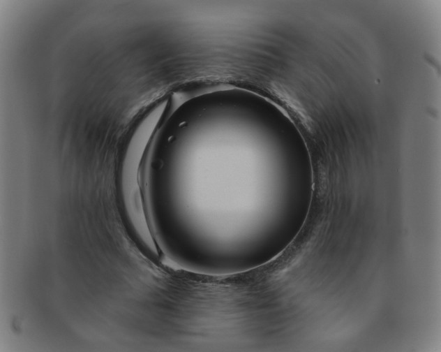 X0000091370681200708241334