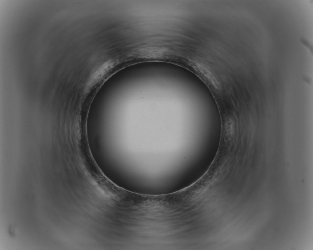 X0000091370682200708241334